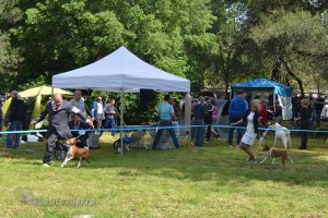 IMG_2257010673252874