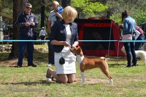 IMG_2257026811225412