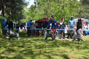 IMG_2257795126170874