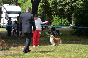 IMG_2257830062258412