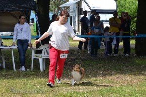 IMG_2257835617579874