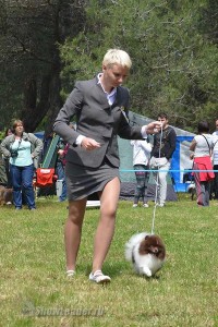 IMG_2257933652484643