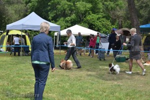 IMG_2257940301788489