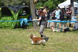 IMG_2257971600273258