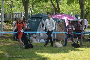IMG_2257987751338412
