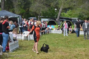 IMG_2257994035682028