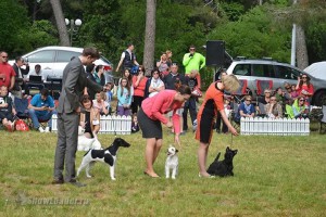 IMG_2258005697873566