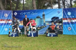 IMG_2258011436821412