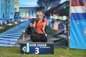 IMG_2258019430511643
