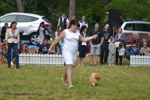 IMG_2258026425394874