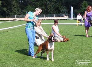 best_090613_1