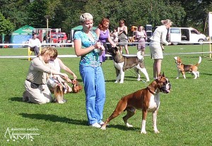 best_090613_2