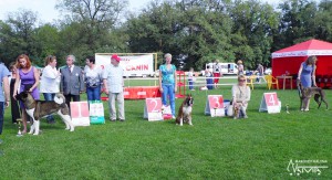 best_090613_3