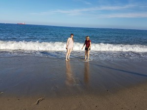 image1 (1) 