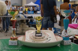 DSC00288