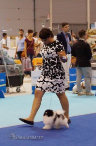 DSC00408
