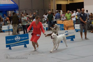 DSC00451