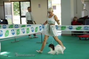 DSC09513