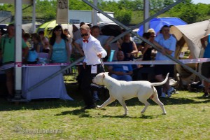 DSC06880