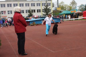IMG_6558