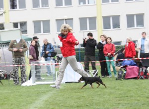IMG_6580