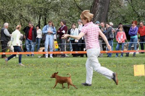 IMG_6717