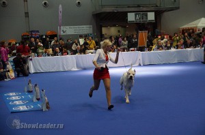 DSC04956