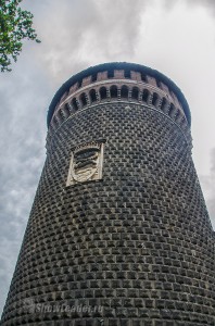 DSC_5152