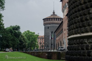 DSC_5153