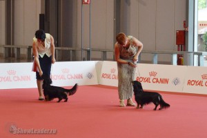 bobj_100615_1