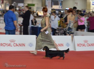 elka_100615_1