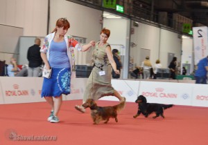 elka_100615_3
