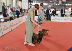 kennel_3