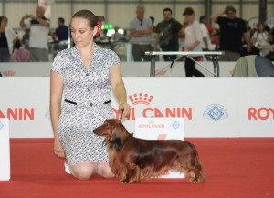 rubin_wds_2
