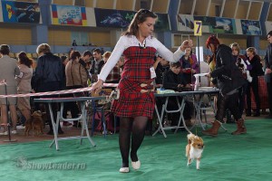 DSC02111