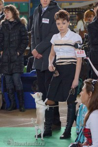 DSC02147