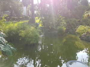 image-0.02.01.3aa078f26ee59f13908a9cc525207233535f899b5f601fe41d18e8aedcbada0c-V