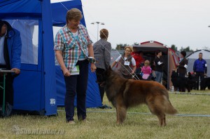 DSC00384