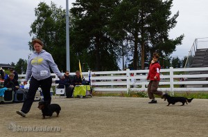 DSC00431