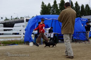 DSC00437