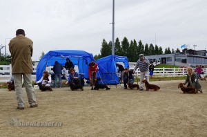 DSC00462
