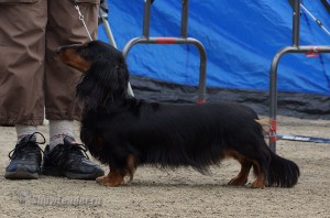 DSC00469