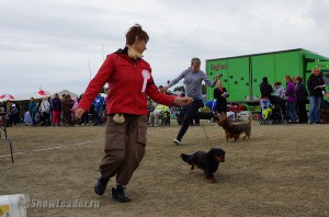 DSC00513