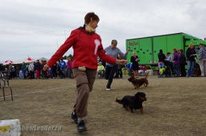 DSC00514