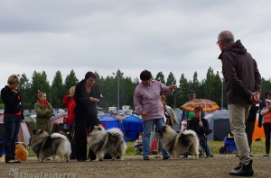 DSC00550