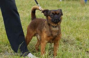 DSC00666