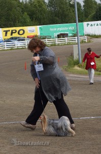 DSC00678