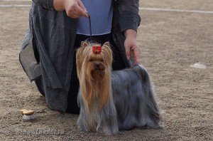 DSC00697