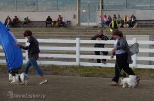 DSC00707