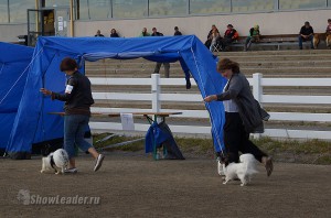 DSC00708